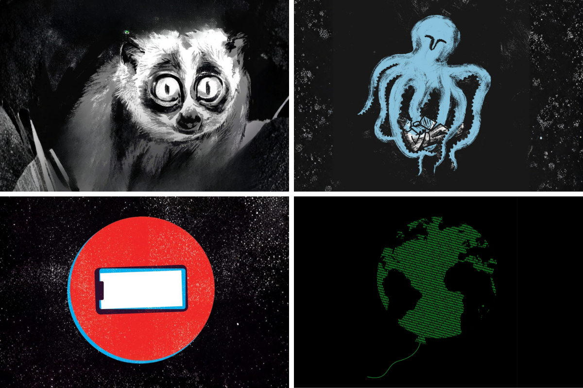 kolaż okładek biuletynów Fundacji Panoptykon